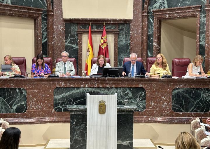 Reunión del Pleno de la Asamblea Regional